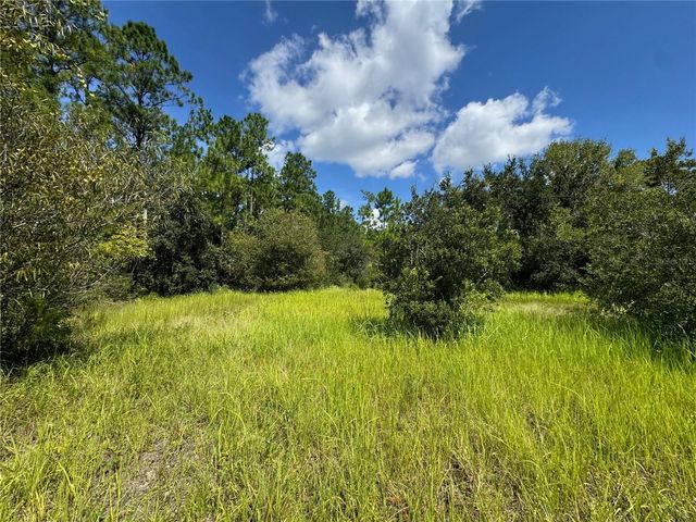 2750 BIG JOHN DRIVE, Deland, FL 32724