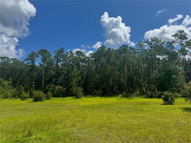 2750 BIG JOHN DRIVE, Deland, FL 32724