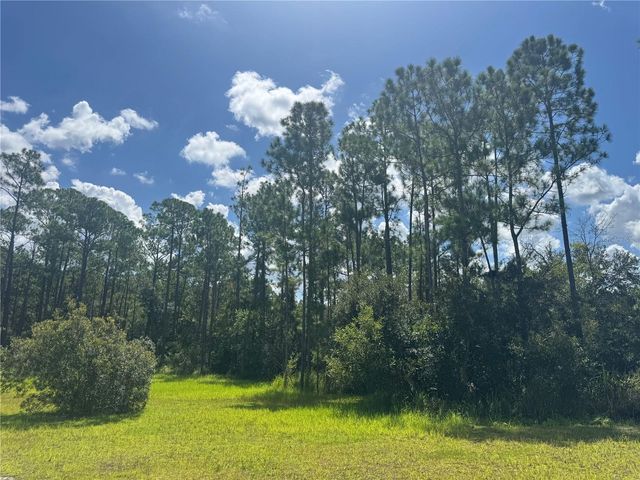 2750 BIG JOHN DRIVE, Deland, FL 32724