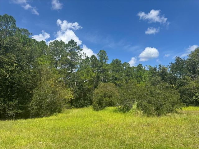 2750 BIG JOHN DRIVE, Deland, FL 32724