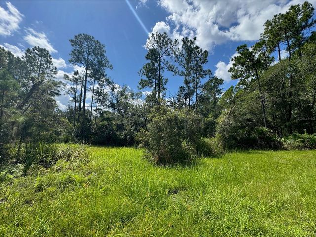 2750 BIG JOHN DRIVE, Deland, FL 32724