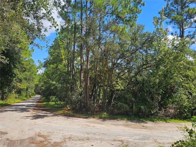 2750 BIG JOHN DRIVE, Deland, FL 32724