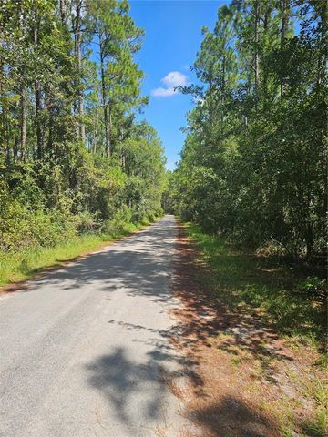 2750 BIG JOHN DRIVE, Deland, FL 32724