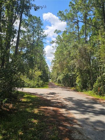 2750 BIG JOHN DRIVE, Deland, FL 32724