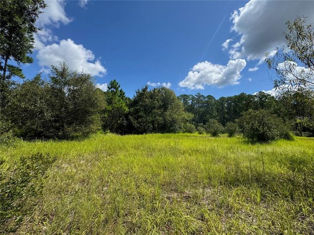 2750 BIG JOHN DRIVE, Deland, FL 32724