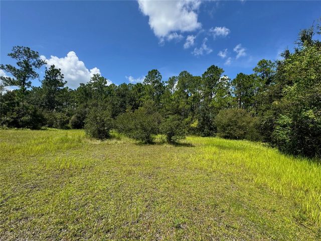 2750 BIG JOHN DRIVE, Deland, FL 32724