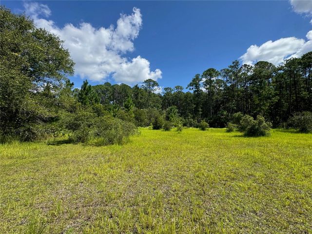 2750 BIG JOHN DRIVE, Deland, FL 32724