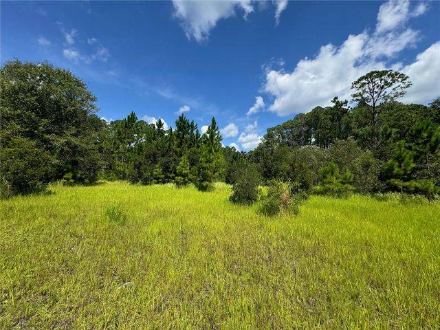 2750 BIG JOHN DRIVE, Deland, FL 32724