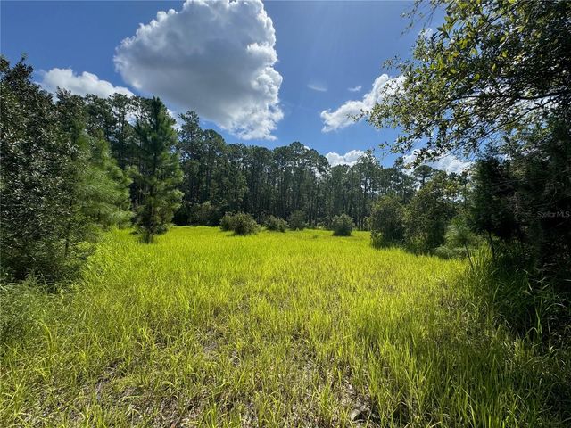 2750 BIG JOHN DRIVE, Deland, FL 32724