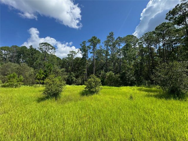 2750 BIG JOHN DRIVE, Deland, FL 32724
