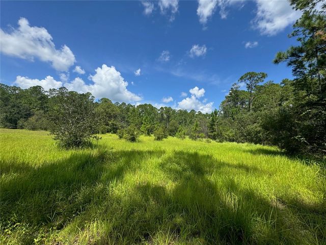 2750 BIG JOHN DRIVE, Deland, FL 32724