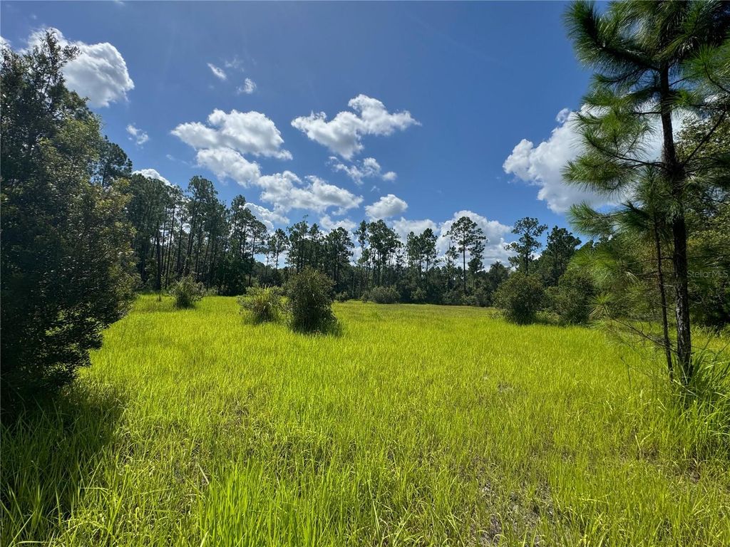 2750 BIG JOHN DRIVE, Deland, FL 32724