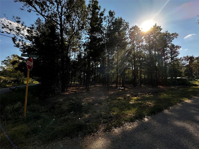 27100 Royal Coach, New Caney, TX 77357