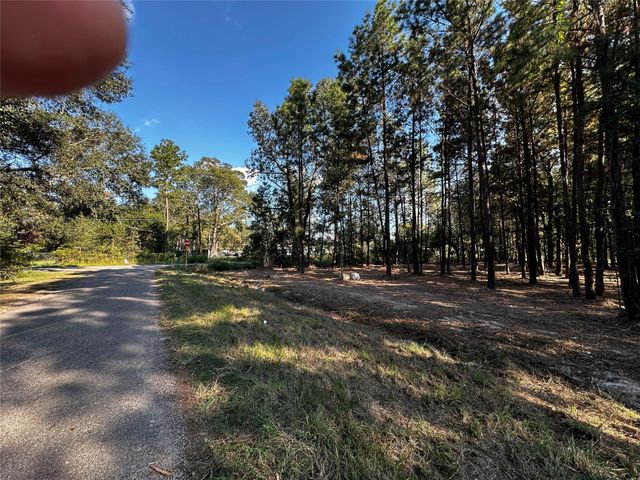 27100 Royal Coach, New Caney, TX 77357