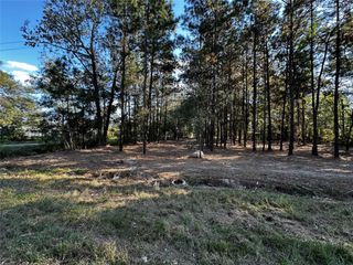 27100 Royal Coach, New Caney, TX 77357