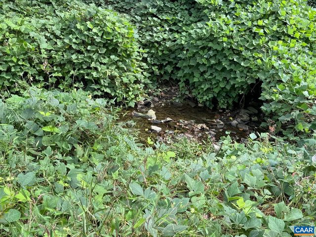 And B 301 Paton St A And B, Charlottesville, VA 22903