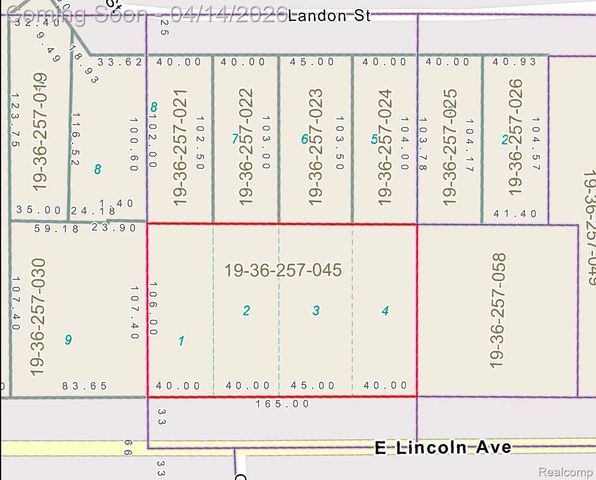 575 E Lincoln Street, Birmingham, MI 48009