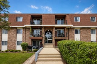 1160 VALLEY Lane 205, Hoffman Estates, IL 60169