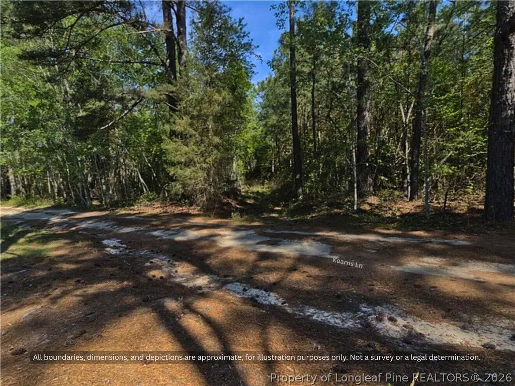 00-00 Strother Road, Aberdeen, NC 28315 — photo 3