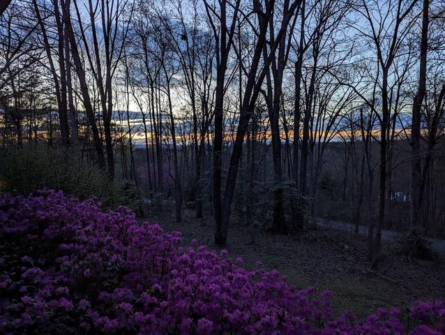 277 Tracy Street, Blairsville, GA 30512