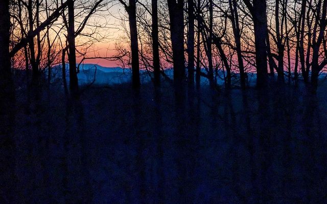 277 Tracy Street, Blairsville, GA 30512