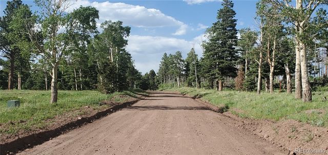 Lot 2120 Sigler Drive, Fort Garland, CO 81133