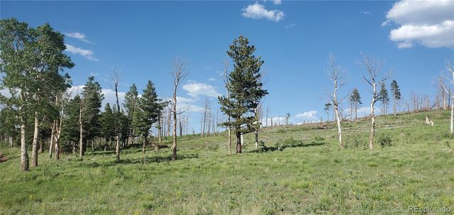 Lot 2120 Sigler Drive, Fort Garland, CO 81133