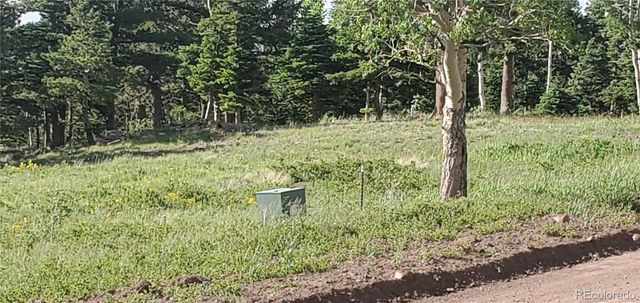 Lot 2120 Sigler Drive, Fort Garland, CO 81133