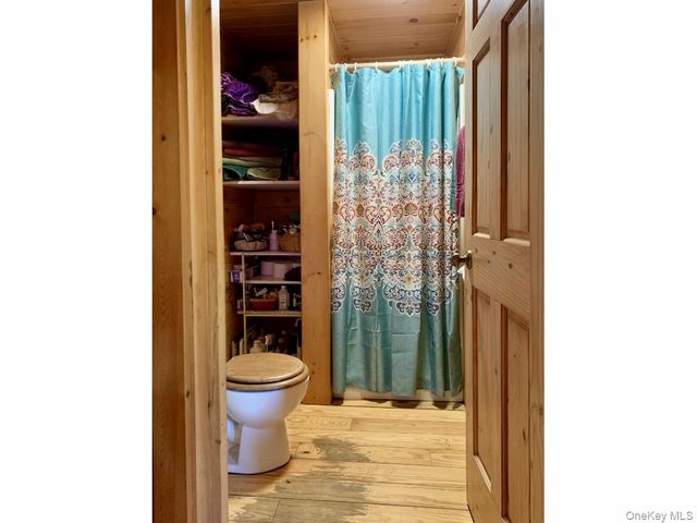 13 Grooville Road, Livingston Manor, NY 12758