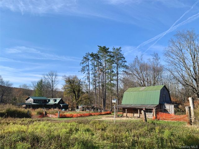 13 Grooville Road, Livingston Manor, NY 12758