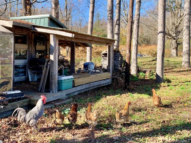 13 Grooville Road, Livingston Manor, NY 12758