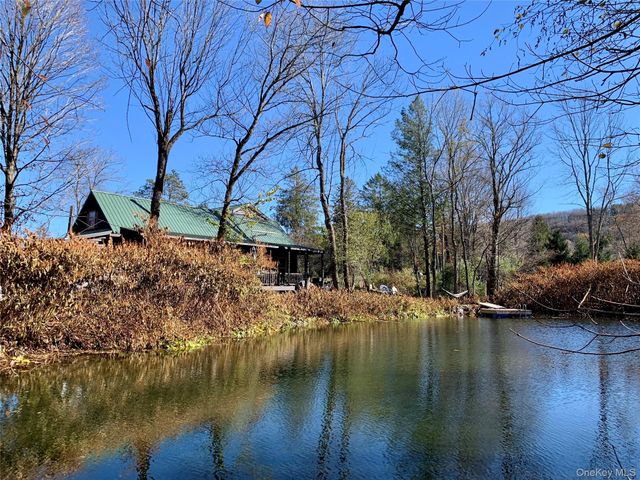 13 Grooville Road, Livingston Manor, NY 12758