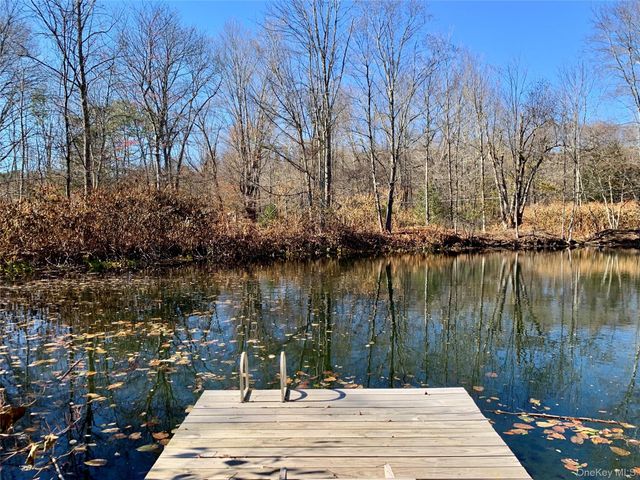 13 Grooville Road, Livingston Manor, NY 12758