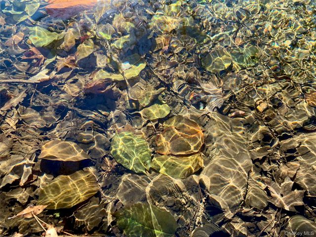 13 Grooville Road, Livingston Manor, NY 12758