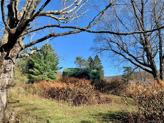 13 Grooville Road, Livingston Manor, NY 12758