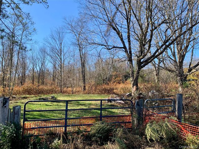 13 Grooville Road, Livingston Manor, NY 12758