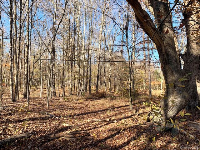 13 Grooville Road, Livingston Manor, NY 12758