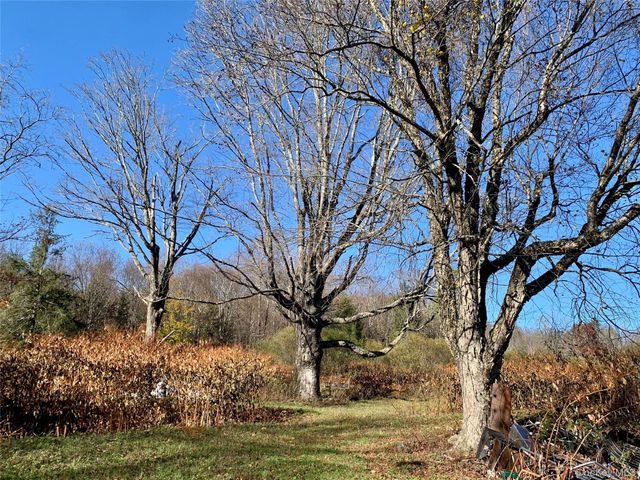 13 Grooville Road, Livingston Manor, NY 12758