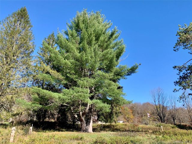 13 Grooville Road, Livingston Manor, NY 12758