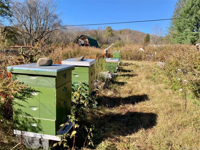 13 Grooville Road, Livingston Manor, NY 12758