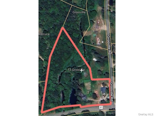 13 Grooville Road, Livingston Manor, NY 12758