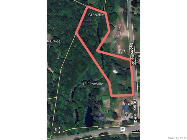 13 Grooville Road, Livingston Manor, NY 12758