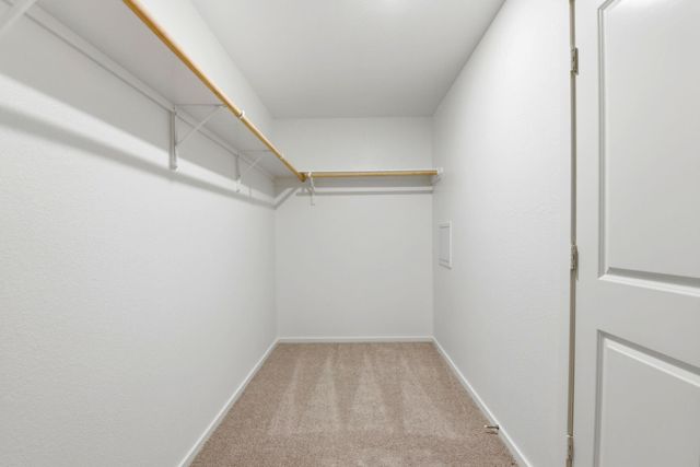 15219 Abella Drive, Conroe, TX 77316