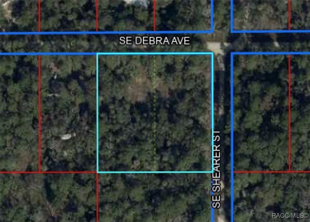 0 Corner of Debra and Shearer, Inglis, FL 34449