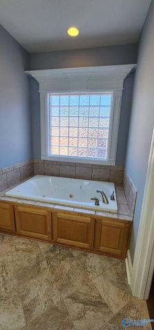 103 North Rim Road, Toney, AL 35773
