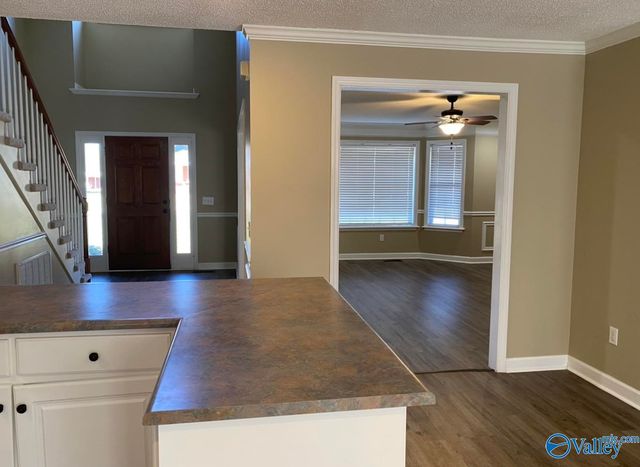 153 County Road 599, Moulton, AL 35650