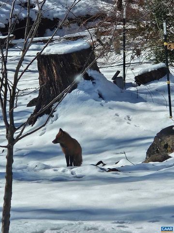 409 WESTMORELAND CT, Charlottesville, VA 22901