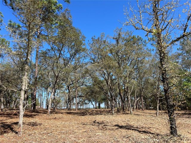 Lot 25 SW TIMBERLAKE ROAD, Dunnellon, FL 34431