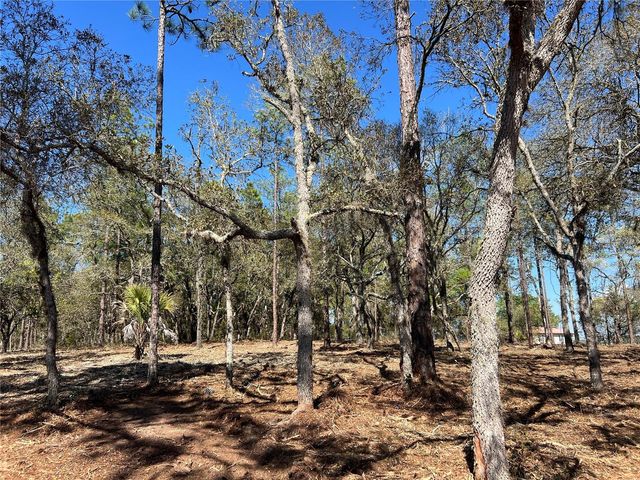 Lot 25 SW TIMBERLAKE ROAD, Dunnellon, FL 34431