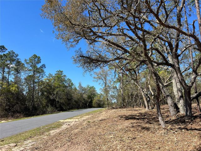 Lot 25 SW TIMBERLAKE ROAD, Dunnellon, FL 34431